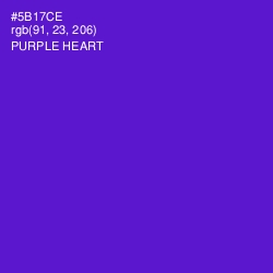 #5B17CE - Purple Heart Color Image