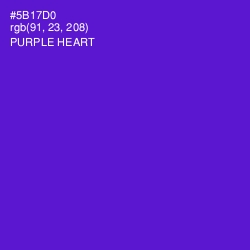 #5B17D0 - Purple Heart Color Image