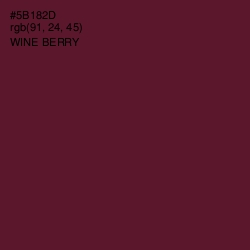 #5B182D - Wine Berry Color Image