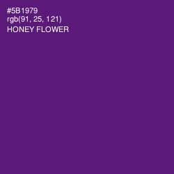 #5B1979 - Honey Flower Color Image