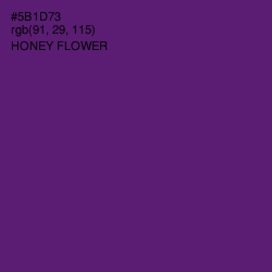 #5B1D73 - Honey Flower Color Image