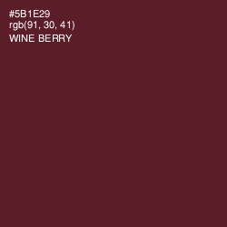 #5B1E29 - Wine Berry Color Image