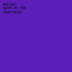 #5B1EB7 - Daisy Bush Color Image