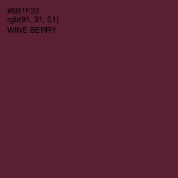 #5B1F33 - Wine Berry Color Image
