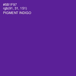 #5B1F97 - Pigment Indigo Color Image