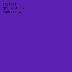 #5B1FB1 - Daisy Bush Color Image