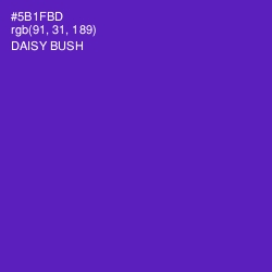 #5B1FBD - Daisy Bush Color Image