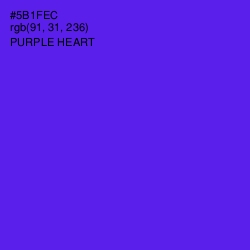 #5B1FEC - Purple Heart Color Image