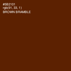 #5B2101 - Brown Bramble Color Image