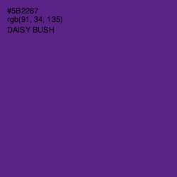 #5B2287 - Daisy Bush Color Image