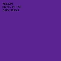 #5B2291 - Daisy Bush Color Image