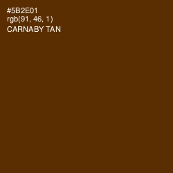 #5B2E01 - Carnaby Tan Color Image