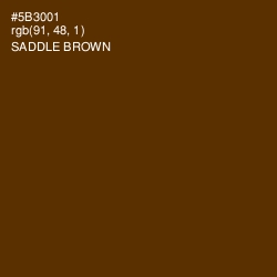 #5B3001 - Saddle Brown Color Image