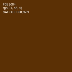 #5B3004 - Saddle Brown Color Image