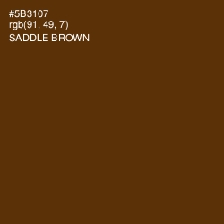 #5B3107 - Saddle Brown Color Image