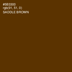 #5B3300 - Saddle Brown Color Image