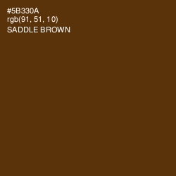 #5B330A - Saddle Brown Color Image