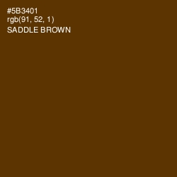 #5B3401 - Saddle Brown Color Image