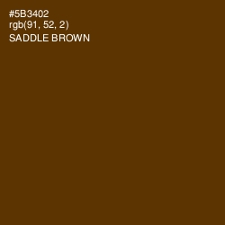 #5B3402 - Saddle Brown Color Image