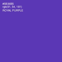 #5B36B5 - Royal Purple Color Image