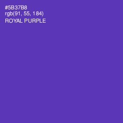 #5B37B8 - Royal Purple Color Image