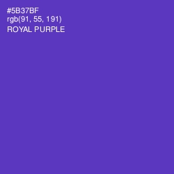 #5B37BF - Royal Purple Color Image