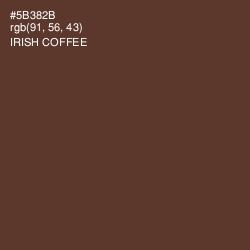 #5B382B - Irish Coffee Color Image