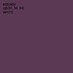 #5B3854 - Voodoo Color Image