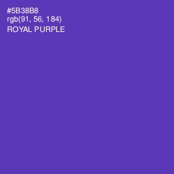 #5B38B8 - Royal Purple Color Image