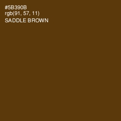 #5B390B - Saddle Brown Color Image