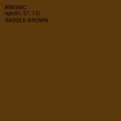 #5B390C - Saddle Brown Color Image