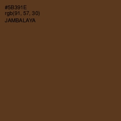 #5B391E - Jambalaya Color Image