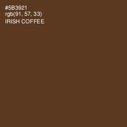 #5B3921 - Irish Coffee Color Image