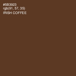 #5B3923 - Irish Coffee Color Image