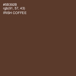 #5B392B - Irish Coffee Color Image