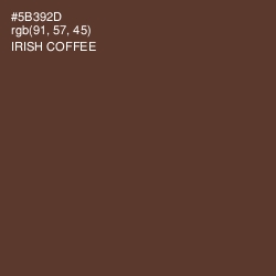 #5B392D - Irish Coffee Color Image