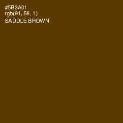 #5B3A01 - Saddle Brown Color Image