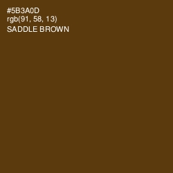 #5B3A0D - Saddle Brown Color Image