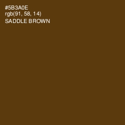 #5B3A0E - Saddle Brown Color Image