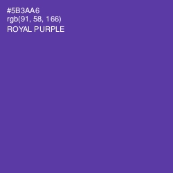 #5B3AA6 - Royal Purple Color Image