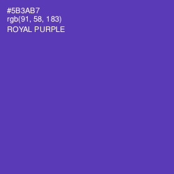 #5B3AB7 - Royal Purple Color Image