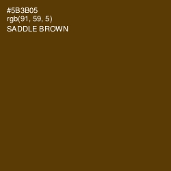 #5B3B05 - Saddle Brown Color Image