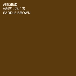 #5B3B0D - Saddle Brown Color Image