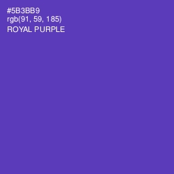 #5B3BB9 - Royal Purple Color Image