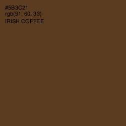 #5B3C21 - Irish Coffee Color Image