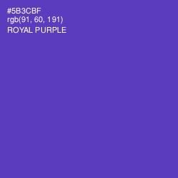 #5B3CBF - Royal Purple Color Image