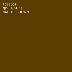 #5B3D01 - Saddle Brown Color Image