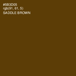 #5B3D05 - Saddle Brown Color Image