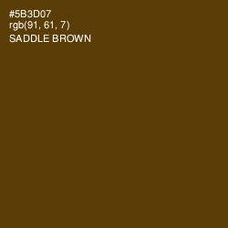 #5B3D07 - Saddle Brown Color Image