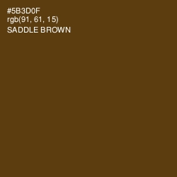 #5B3D0F - Saddle Brown Color Image
